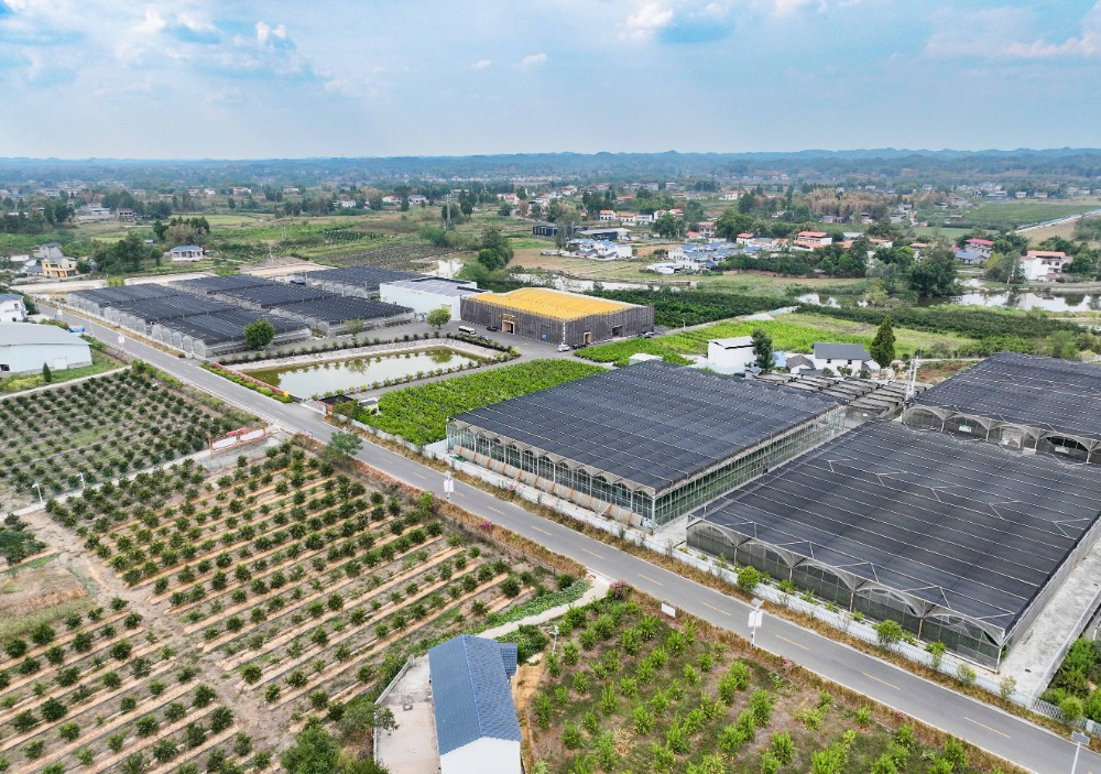 报废车收购名片_回收报废车名片设计_高价回收报废车名片